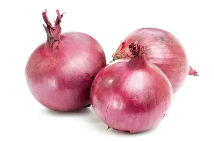 1778415874_onion.webp