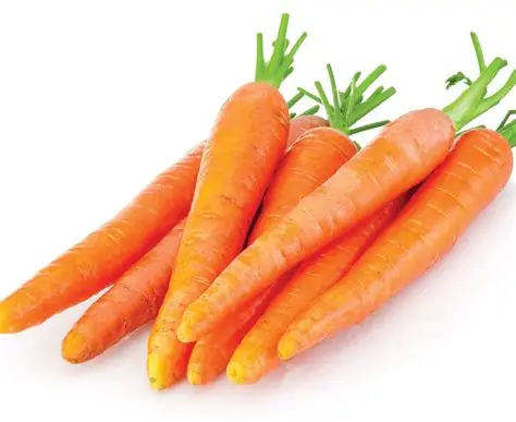1778416038_carrots.webp