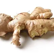 1778416517_ginger.webp