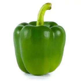1778416721_capsicum.webp