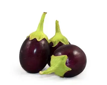 1778417045_baigan.webp