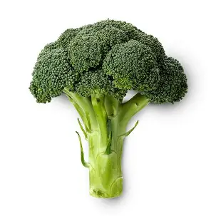1778418293_broccoli.webp