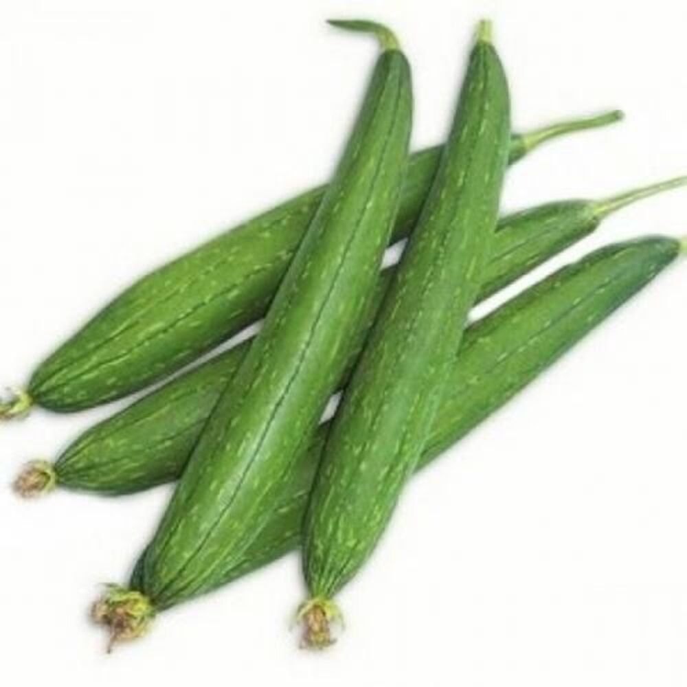 1778469709_sponge-gourd-galka.jpeg